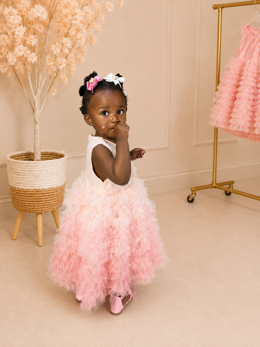 Pink Gradient Tulle Dress